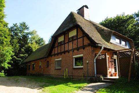Lütjensee Häuser, Lütjensee Haus kaufen