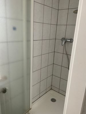 Gäste WC mit Dusche Bild 1