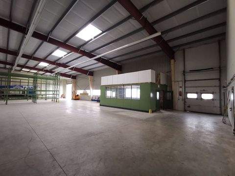 Tornesch Halle, Tornesch Hallenfläche