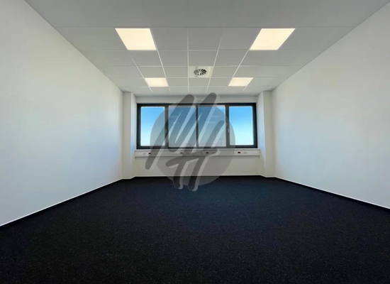 INFOS UNTER: 06171-586000