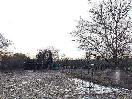 Der Paddock hat eine Größe von ca. 6000 qm