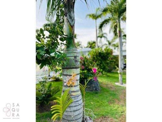 wmimg_amavi-real-estate-las-terrenas-dr-forsale-casa-Dewaschehn39_cleanup