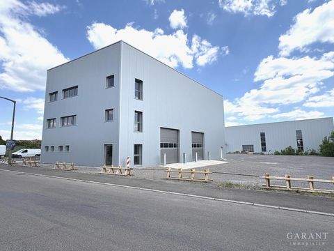 Sindelfingen Halle, Sindelfingen Hallenfläche