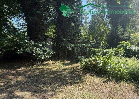 Blick Richtung Weg zum Anleger