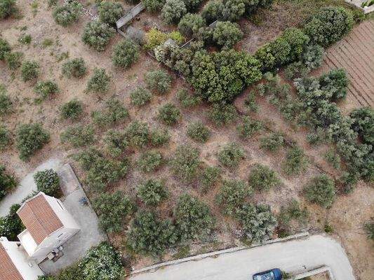 Kreta, Almyrida: Grundstück in Strandnähe mit Meerblick zu verkaufen