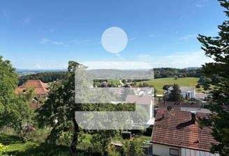 Ausblick