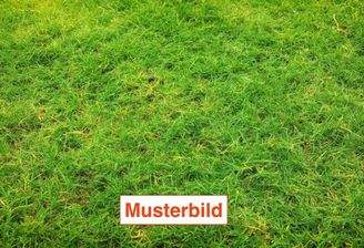 Beispielbild GRD 1.jpg