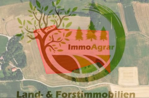 Ebersberg Bauernhöfe, Landwirtschaft, Ebersberg Forstwirtschaft