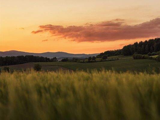 HERZOG1 - Weiden i. d. Oberpfalz