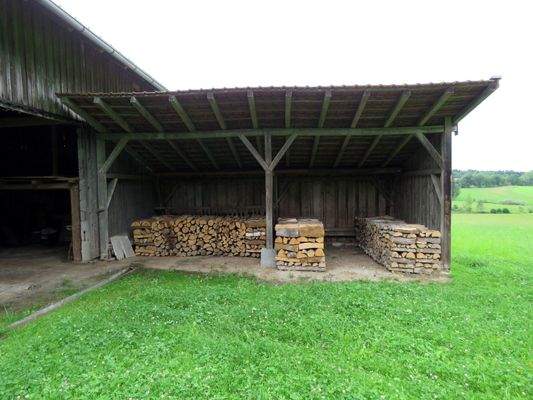 Futterstelle an der Wiese 