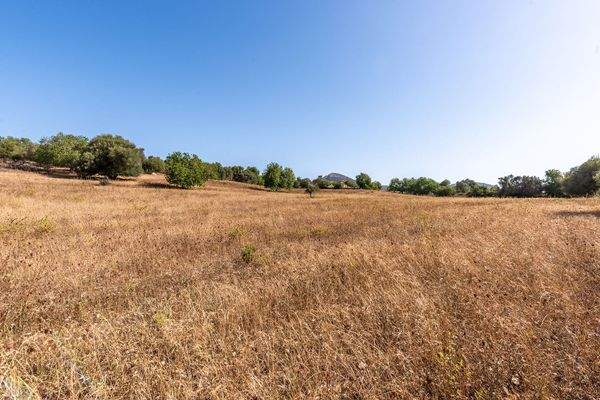 Grundstück mit Baungenehmigung