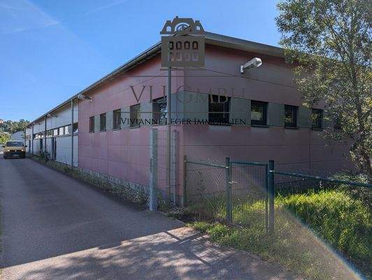 PXL_20240708_080619392