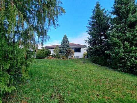 Usingen Häuser, Usingen Haus kaufen