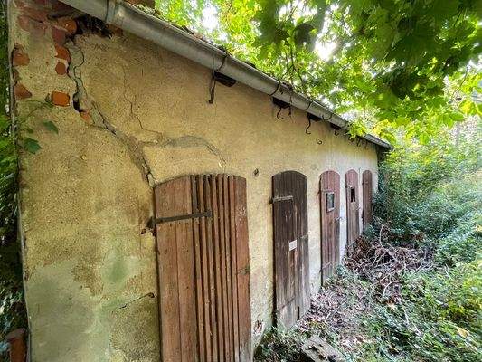 Groß (IMG_4500).jpeg