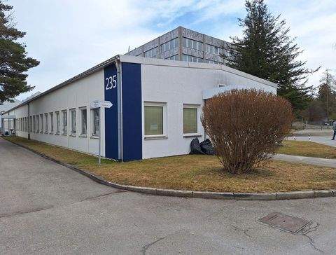 München Halle, München Hallenfläche