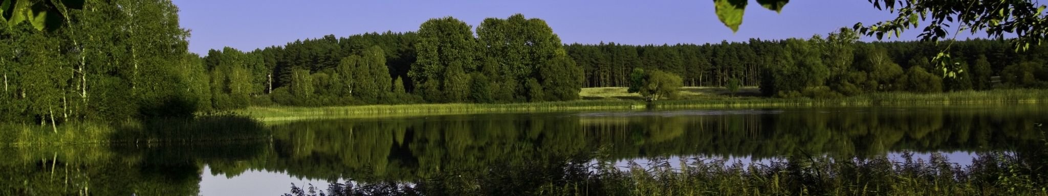1. Kluger See