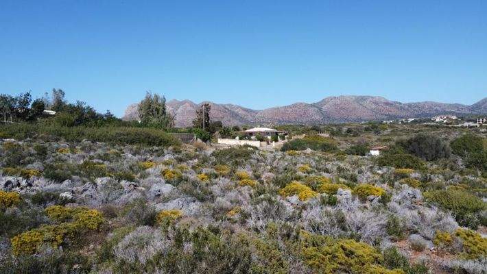Kreta, Tersana: Grundstück mit Meerblick und Bergblick zu verkaufen