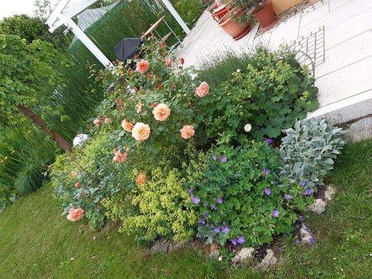 Beet an der Terrasse