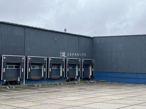 Wuppertal Halle, Wuppertal Hallenfläche