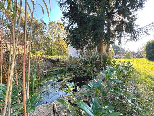 Teich hinter dem Bestandshaus