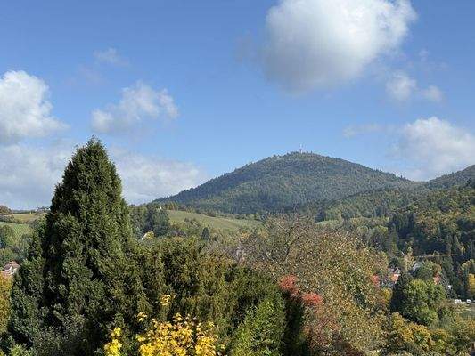 Blick von der Terrasse