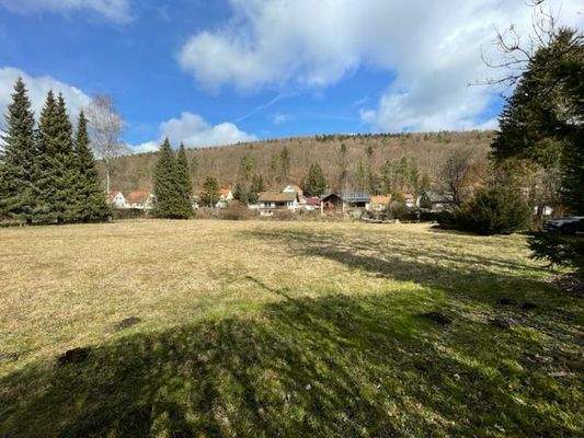 Grundstück unbebaut