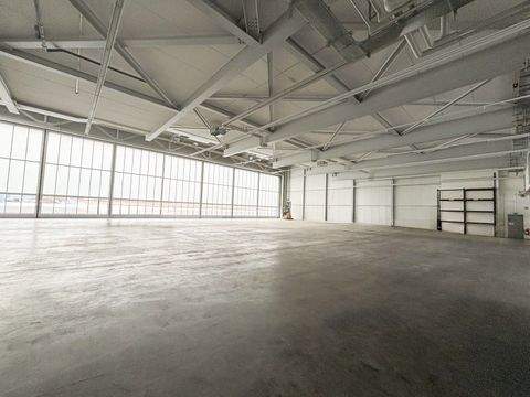 Neuhausen ob Eck Halle, Neuhausen ob Eck Hallenfläche