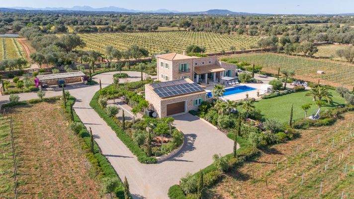 c03afcca-2392-43ce-8edb-bb0abf03493c