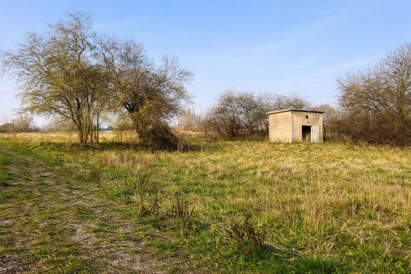 Das Grundstück (KI generiert)