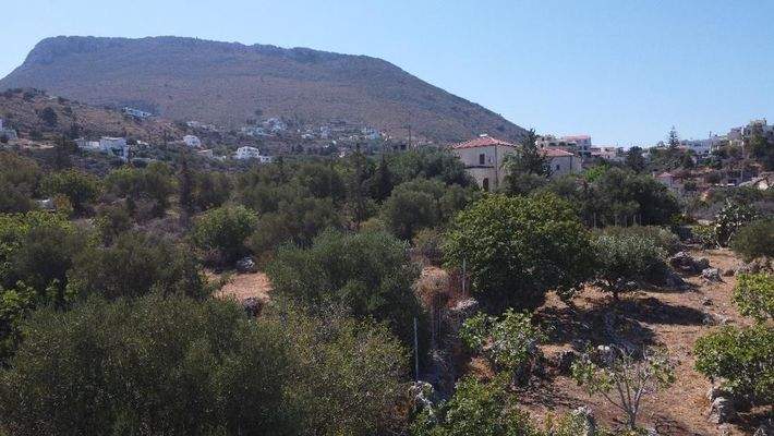 Kreta, Kokkino Chorio: Ruhiges Landgrundstück mit Dorfnähe zu verkaufen