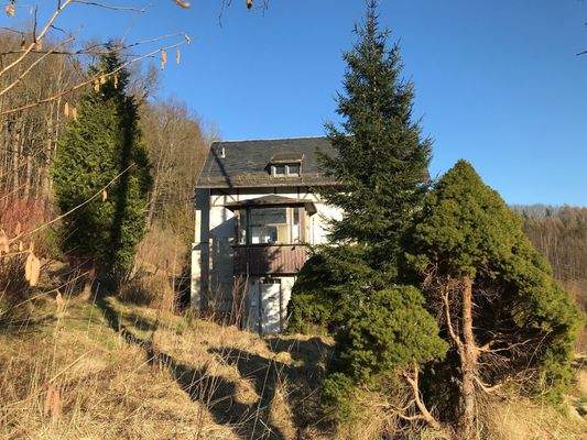 Vorgarten Villa Nummer 7