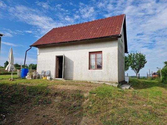 20250507_084457 (1).jpg