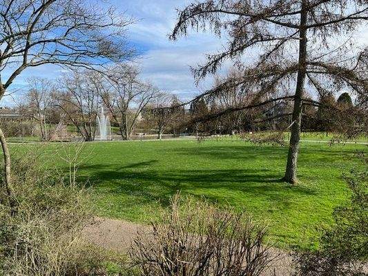 beste Ausblicke aus der Wohnung zum Park !
