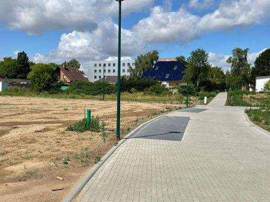 Blick auf den Rad- und Fußweg.jpg