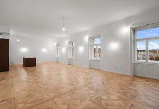 Schmerlingplatz_Alrag__07