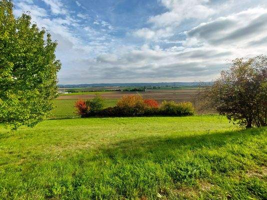 Aussicht Freiwinklstr 9_bearbeitet.jpg