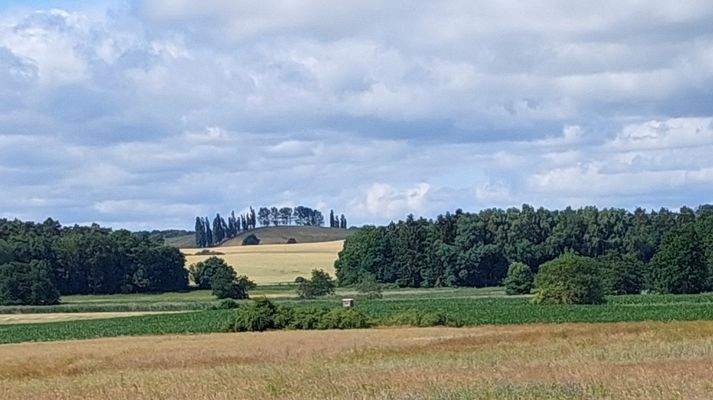 Blick in die Landschaft