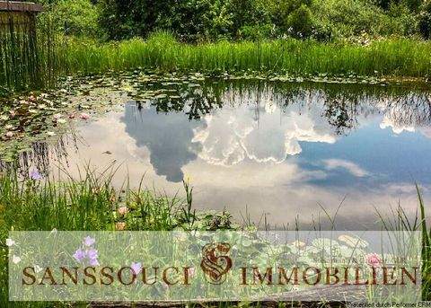 Potsdam Häuser, Potsdam Haus kaufen