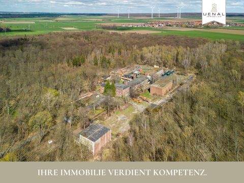 Salzgitter Industrieflächen, Lagerflächen, Produktionshalle, Serviceflächen