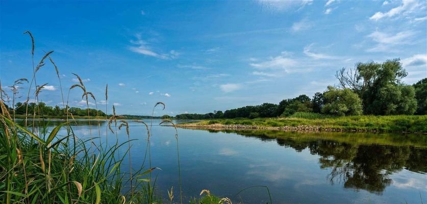 Fluss "Oder"