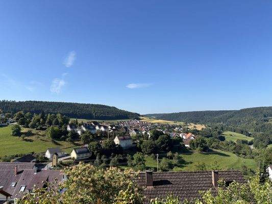 Aussicht vom Wohnzimmer