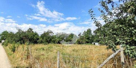 Schlierbach Büros, Büroräume, Büroflächen 