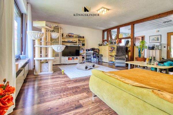 Erdgeschoss Wohnzimmer