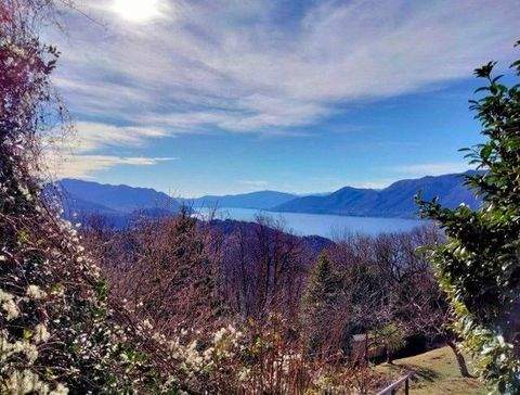 Dumenza Grundstücke, Dumenza Grundstück kaufen