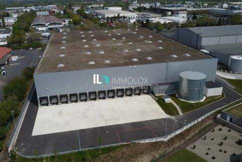 Radeburg Halle, Radeburg Hallenfläche