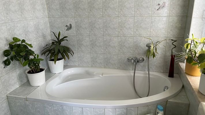 IMG_3229.JPEG