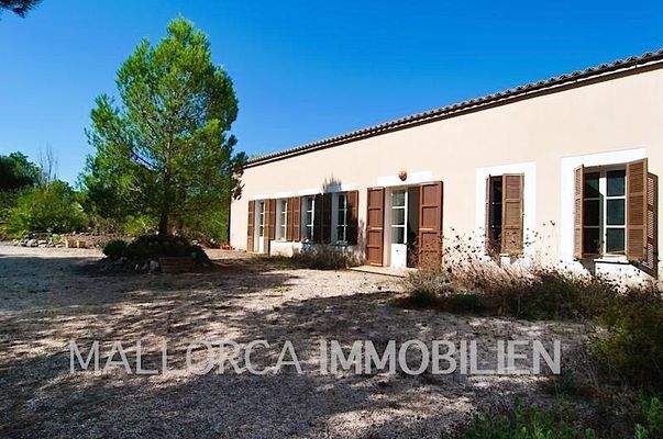 K 1487 Finca Friedrich-0007.jpg