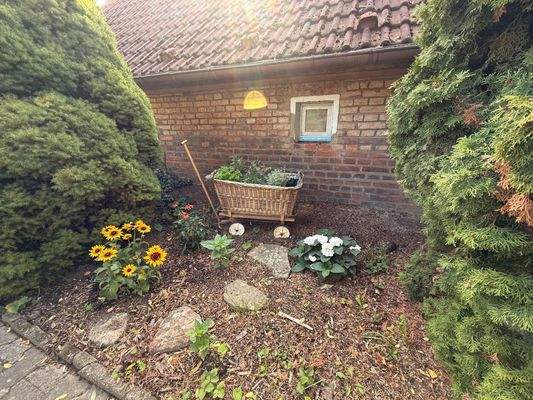 WhatsApp Image 2025-09-24 at 12.37.03 (4)