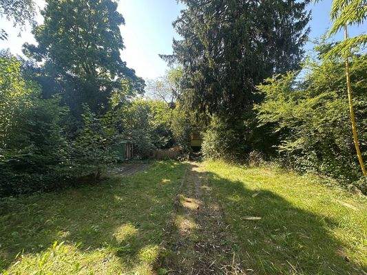 eingewachsener Garten