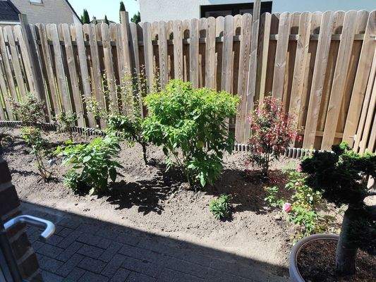 Beet vorm HWR und Küche